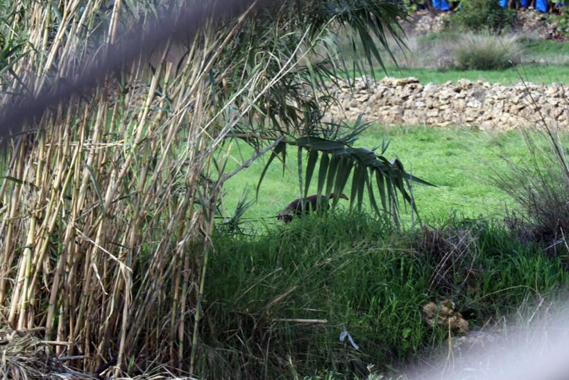 Akli dengesi yerinde olmayan kadın az daha felakete yol açacaktı! Binaya patlayıcı yerleştirdi, ekipler son anda yetişti! - Resim: 4