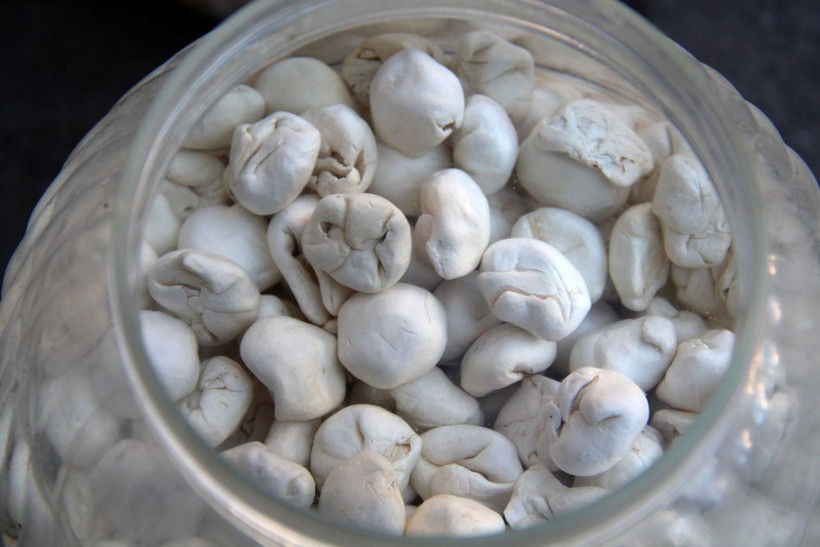 Fiyatı gram altını ikiye katladı, bu sakızın faydalarını duyanlar şaşırıyor - Resim: 3