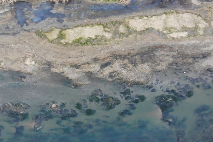 Yıllardır böylesi görülmedi! Türkiye'nin en uzun nehrinin haline bakın kuraklık vurdu - Resim: 3