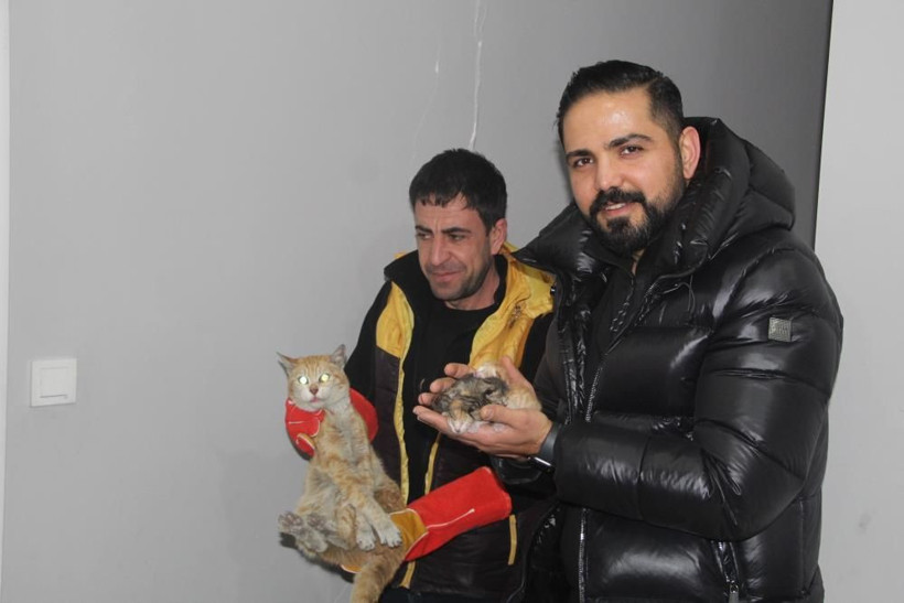 Depremde mahsur kaldı doğum yaptı! 10 gün sonra fark edilen kedi açlıktan yavrusunu yedi - Resim: 3