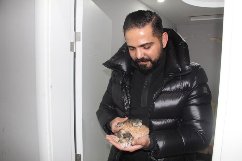 Depremde mahsur kaldı doğum yaptı! 10 gün sonra fark edilen kedi açlıktan yavrusunu yedi - Resim: 4