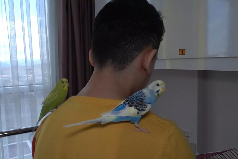 Enkaz altında kuşlarını ölüme terk etmedi! Küçük çocuğun sözleri herkesi duygulandırdı - Resim: 2