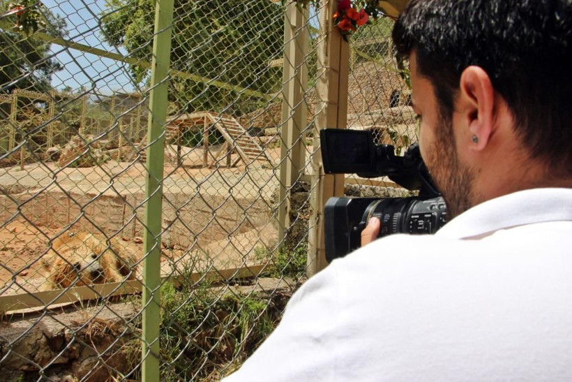 Sıcaktan bunalan boz ayı ailesinin havuz keyfi! Sudan çıkmak bilmedi böyle poz verdi - Resim: 4