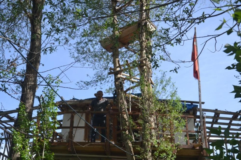 Görenler gözlerine inanamadı: Ağaçta meyve değil tabut var! Hikayesi ise çok acayip... - Resim: 1