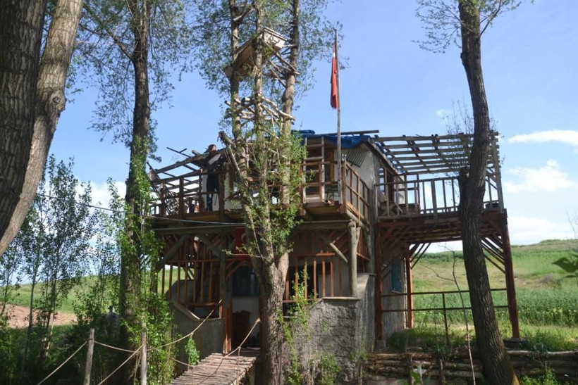 Görenler gözlerine inanamadı: Ağaçta meyve değil tabut var! Hikayesi ise çok acayip... - Resim: 2