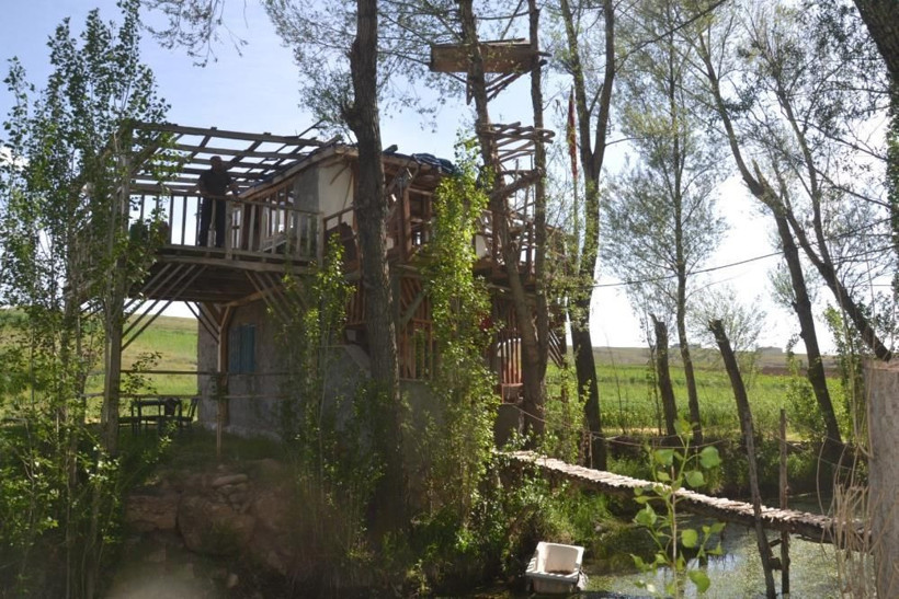 Görenler gözlerine inanamadı: Ağaçta meyve değil tabut var! Hikayesi ise çok acayip... - Resim: 3