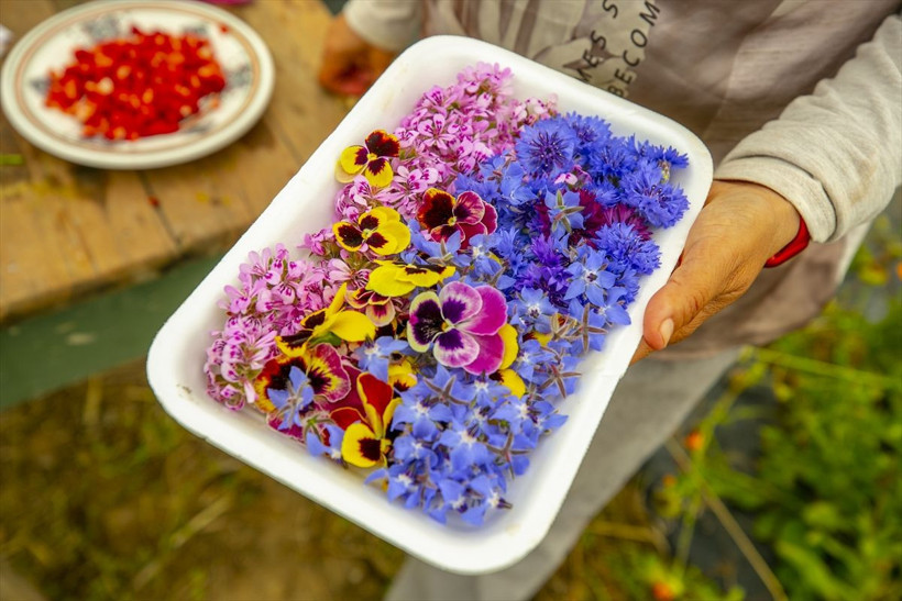 Bu çiçekler yenilebiliyor! Sterssiz bir hayat mümkün! İşte harika görüntüler! - Resim: 2
