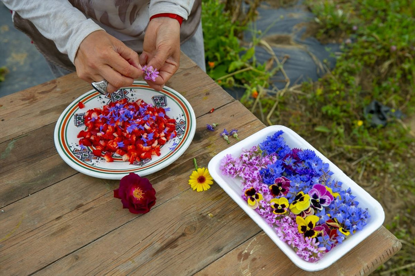Bu çiçekler yenilebiliyor! Sterssiz bir hayat mümkün! İşte harika görüntüler! - Resim: 3