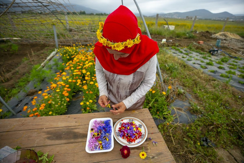 Bu çiçekler yenilebiliyor! Sterssiz bir hayat mümkün! İşte harika görüntüler! - Resim: 1