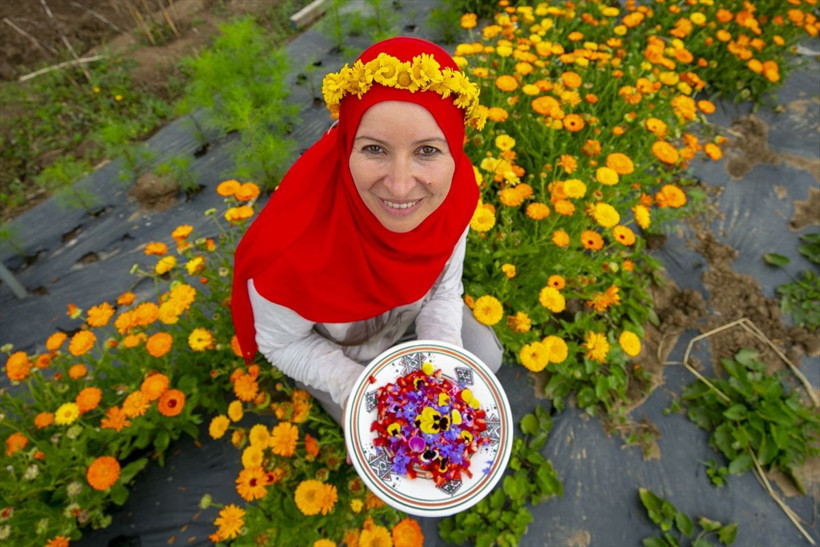 Bu çiçekler yenilebiliyor! Sterssiz bir hayat mümkün! İşte harika görüntüler! - Resim: 4