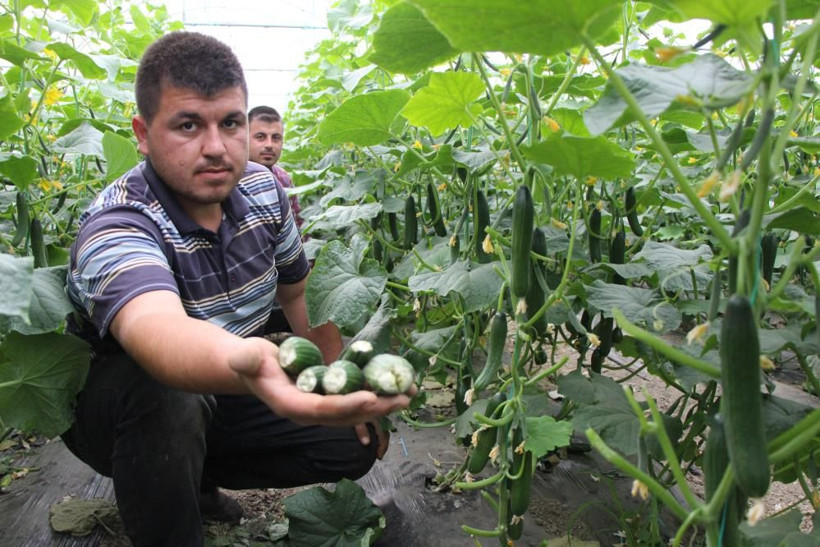 Bir köyü ayağa kaldıran olay! Fotokapana yakalandı, geceleri nöbet tutmaya başladılar! - Resim: 4