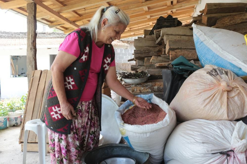 Bu bitkinin faydaları saymakla bitmiyor: Hayvanlara yem, insanlara şifa oluyor! - Resim: 3
