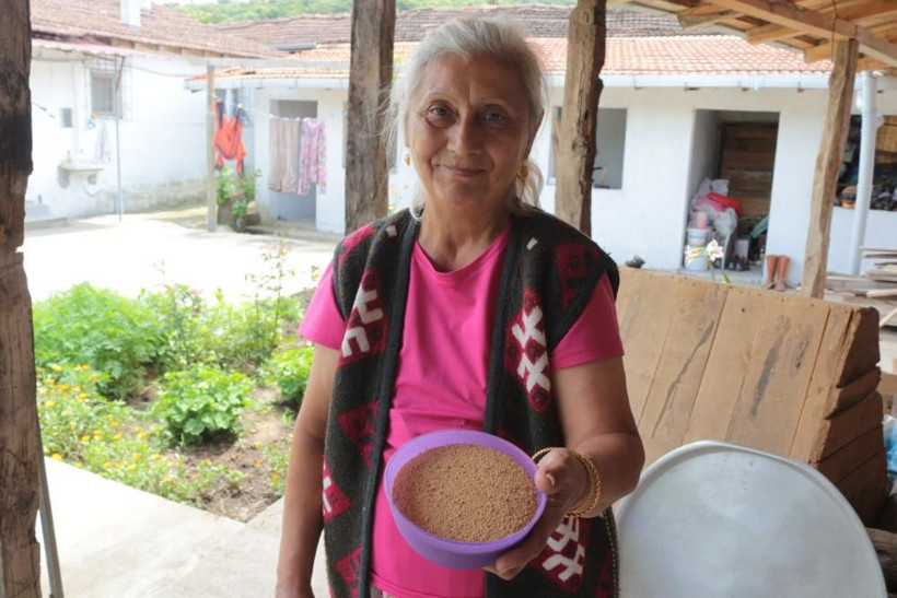 Bu bitkinin faydaları saymakla bitmiyor: Hayvanlara yem, insanlara şifa oluyor! - Resim: 4