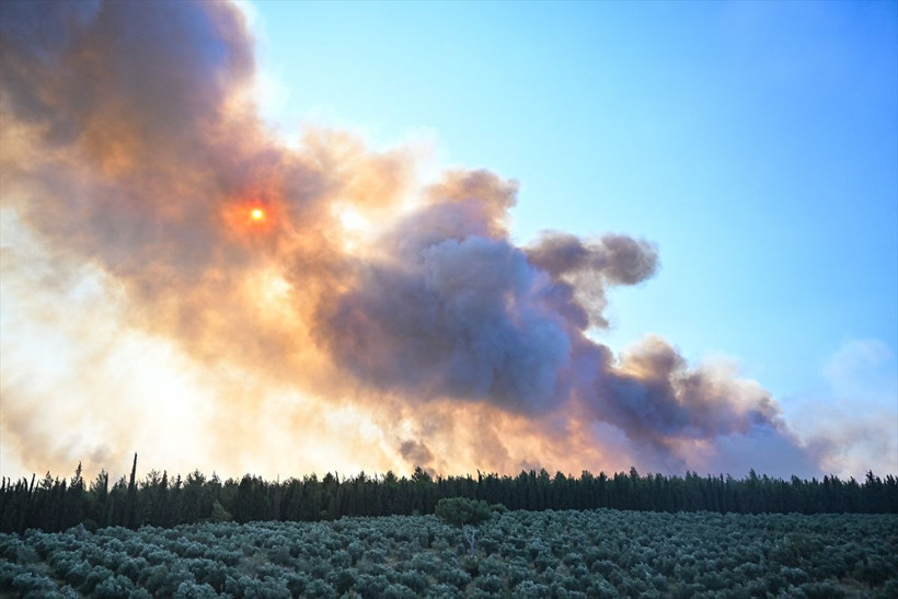 İzmir'deki orman yangını 11 saatte kontrol altına alındı! Biri ağır 12 ormancı yaralandı - Resim: 1
