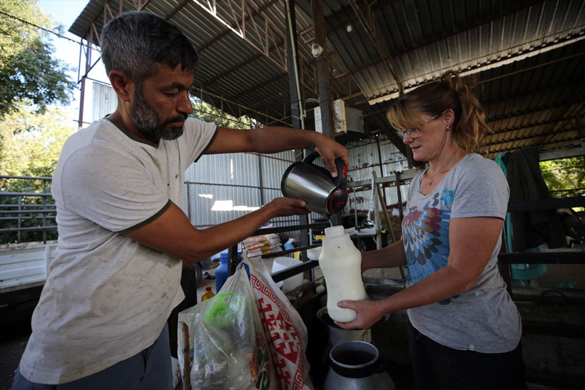 Bu da İngiliz gelin! İngiltere'de yöneticiydi aşkı için Türkiye'de hayvancılık yapıyor - Resim: 2