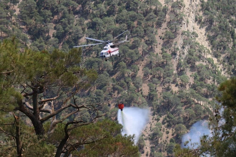 Bolu'da korkutan orman yangını! Yıldırım düşmüştü, saatlerdir alev alev yanıyor! 15 hektarlık alan küle döndü... - Resim: 1