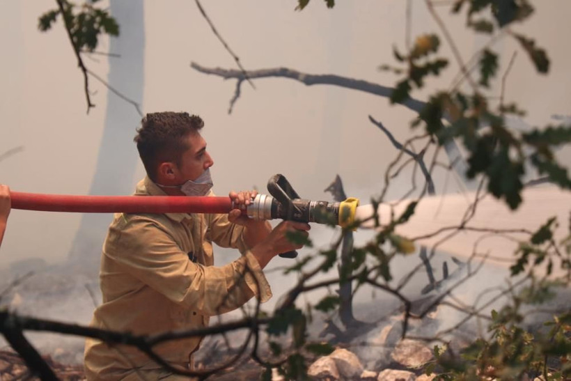 Bolu'da korkutan orman yangını! Yıldırım düşmüştü, saatlerdir alev alev yanıyor! 15 hektarlık alan küle döndü... - Resim: 3