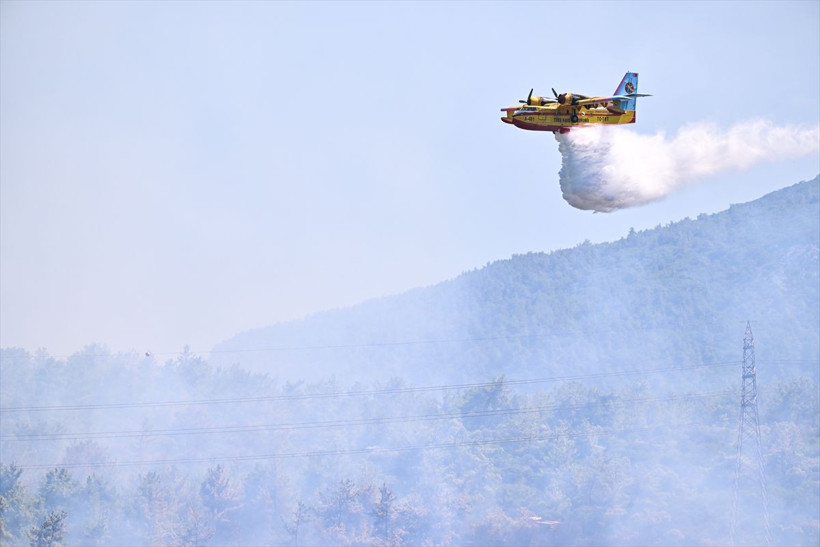İzmir'de alev alan otomobil orman yangınına yol açtı! İzmir-Çeşme Otoyolu ulaşıma kapatıldı - Resim: 3