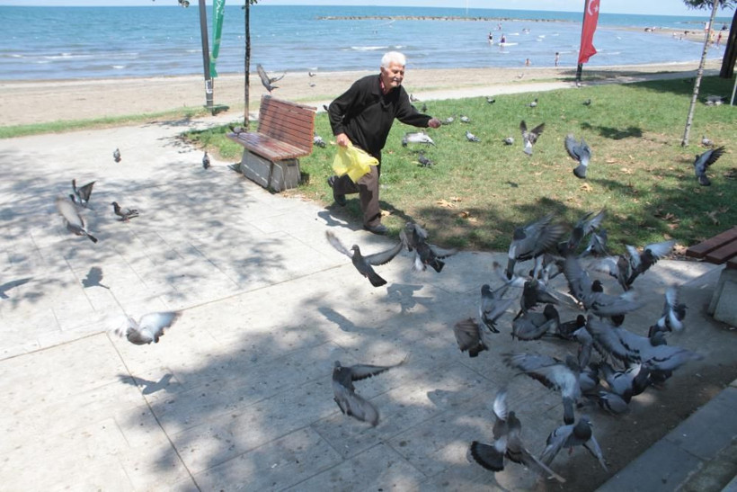 ‘Güvercinci adam’ olarak tanınıyor! Sahilde ağzıyla günde 500 güvercini besliyor... - Resim: 3