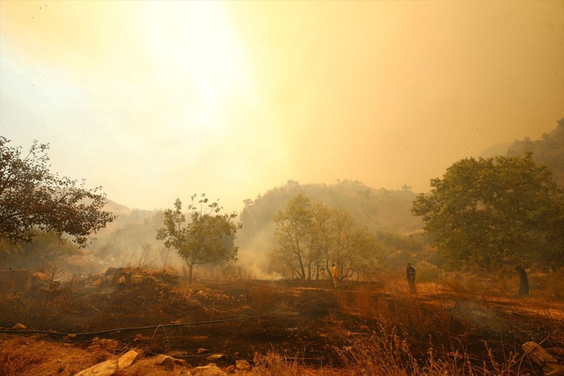 Çanakkale'de büyük orman yangını! 2 köy boşaltıldı, can kaybı var mı? Bölgeden dehşet verici fotoğraflar geldi - Resim: 3