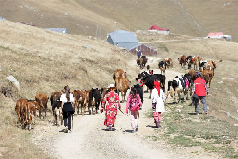 Gelin gibi süslendiler, artık geri dönüyorlar! - Resim: 1