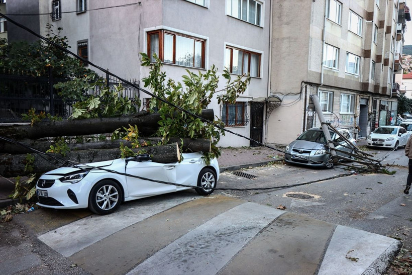 Durum çok fena! Arabaların üzerine devrildi gören hemen ihbar etti - Resim: 2
