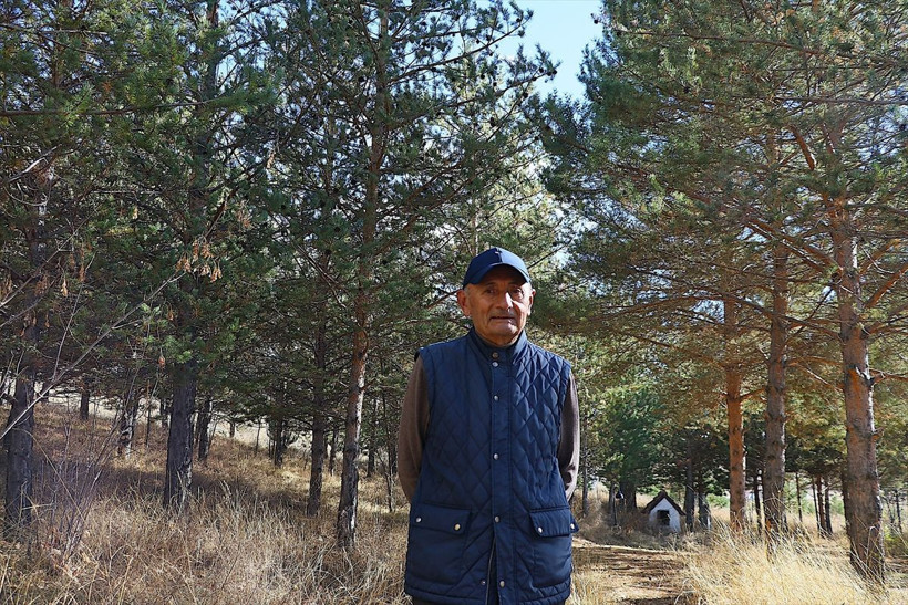 Emekli doktor çorak araziyi ormana dönüştürdü! - Resim: 1
