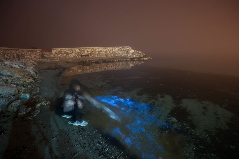 Çok nadir görülüyor! Duyan sahile koştu, Bursa'da yaşandı - Resim: 3