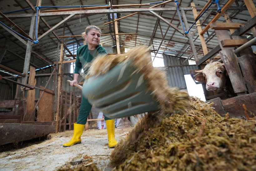 Şehir hayatından sıkılan kuaför, köye dönüp hayvancılığa başladı! - Resim: 3