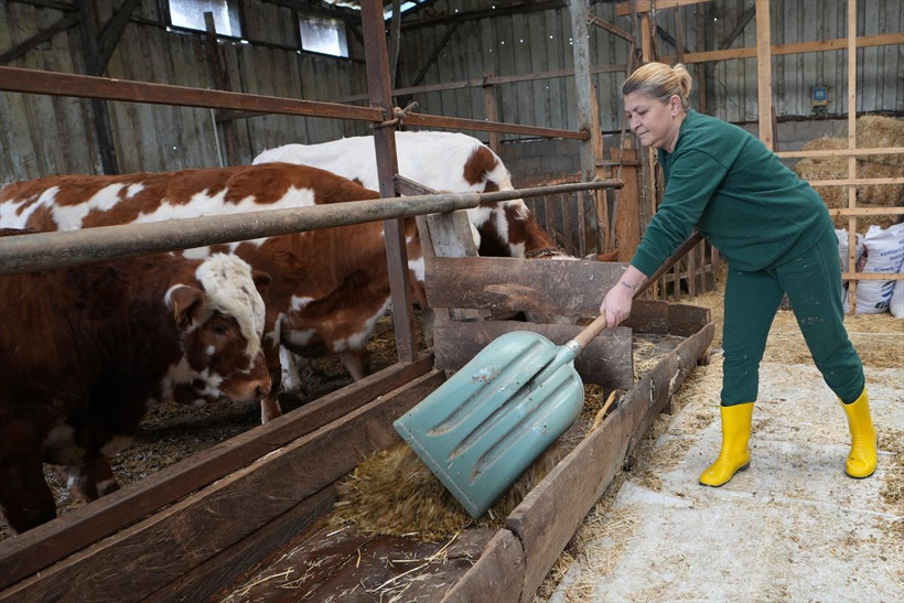 Şehir hayatından sıkılan kuaför, köye dönüp hayvancılığa başladı! - Resim: 4