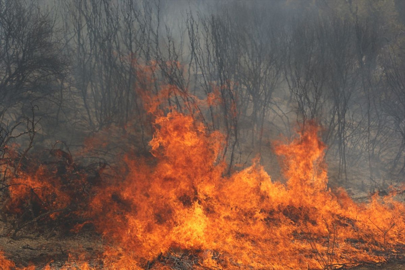 Manisa Kula'da orman yangını! Alevler rüzgarın etkisiyle geniş alana yayıldı, ekipler müdahale ediyor - Resim: 1