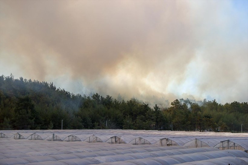 İzmir'de orman yangını! Alevler büyüdü, evler tahliye edildi, sirenler çalıyor - Resim: 3