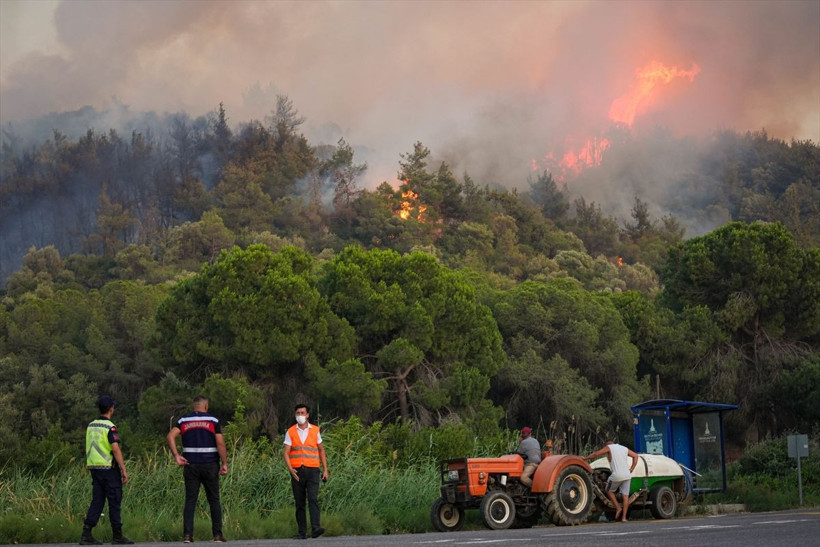 İzmir'deki orman yangınları kontrol altına alındı! Acı bilançoyu Bakan Yumaklı açıkladı - Resim: 1
