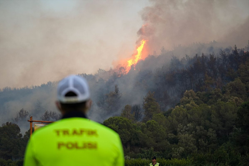 İzmir'deki orman yangınları kontrol altına alındı! Acı bilançoyu Bakan Yumaklı açıkladı - Resim: 2