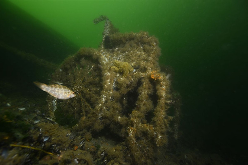 Japon deprem uzmanı Moriwaki, Marmara Depremi'nin "batık şehri"ne inceleme dalışı yaptı - Resim: 3