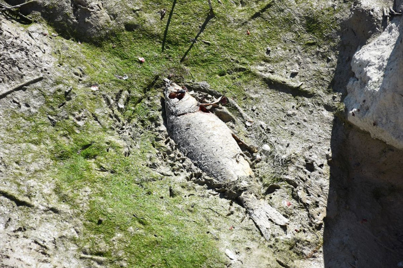 Barajda korkutan görüntü! "İlk defa görüyorum" - Resim: 4