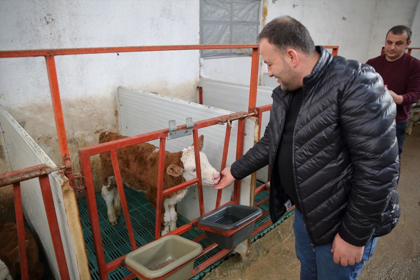 Maaşlı çalışan 2 kardeş el ele verip başladıkları işte müthiş bir yere geldi! Tüm hayalleri gerçek oldu - Resim: 4