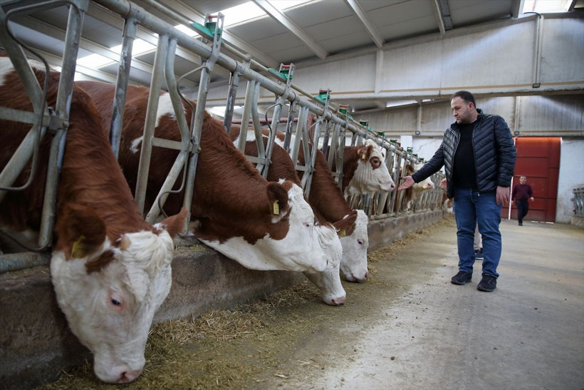 Maaşlı çalışan 2 kardeş el ele verip başladıkları işte müthiş bir yere geldi! Tüm hayalleri gerçek oldu - Resim: 1