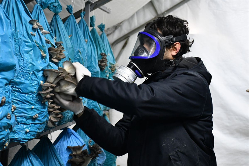 Şehir hayatını bırakan çift köyde tesis kurdu! Yılda 10 ton ürün üretip hepsini satıyorlar - Resim: 3