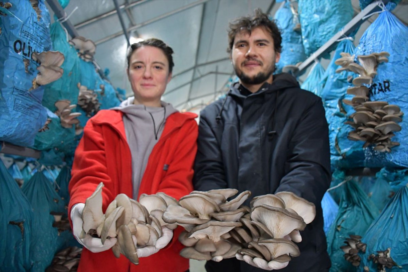 Şehir hayatını bırakan çift köyde tesis kurdu! Yılda 10 ton ürün üretip hepsini satıyorlar - Resim: 1