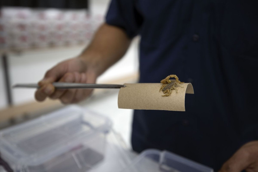 Aydın'da evinin bahçesinde gördü inceleyip tesisini kurdu Almanya ve İsveç sıraya girdi - Resim: 4