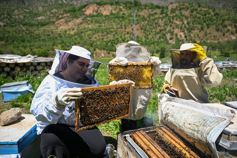 Şehri terkeden karı koca bambaşka bir hayat kurdu huzurla birlikte parayı da buldu - Resim: 1