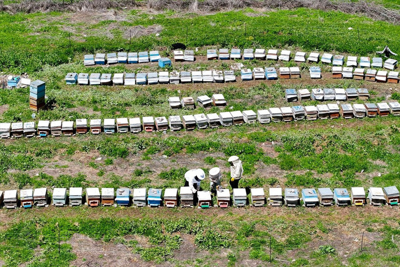 Şehri terkeden karı koca bambaşka bir hayat kurdu huzurla birlikte parayı da buldu - Resim: 4