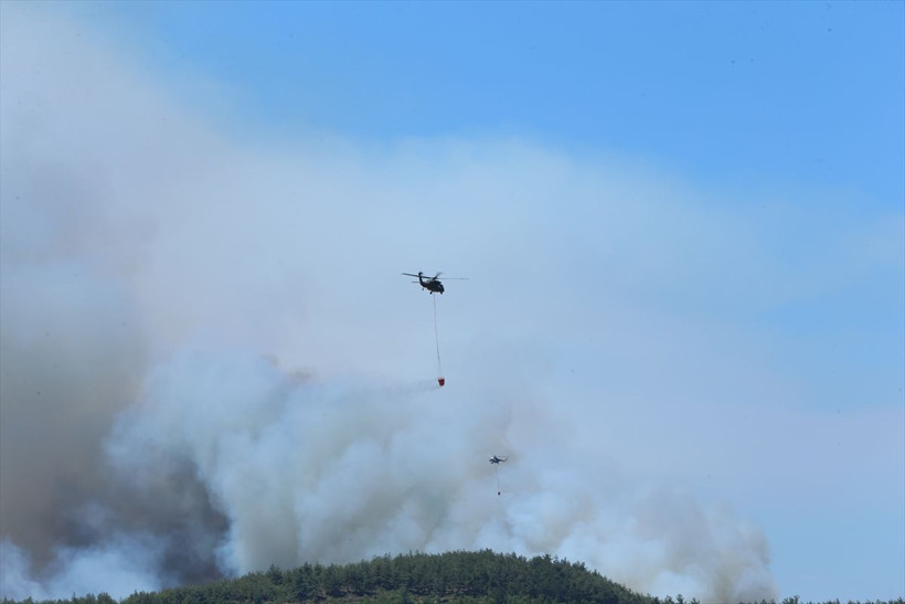 Alevler hızla ilerliyor 26 saattir yanıyor! Sakarya'daki yangın Bilecik'e sıçradı - Resim: 1