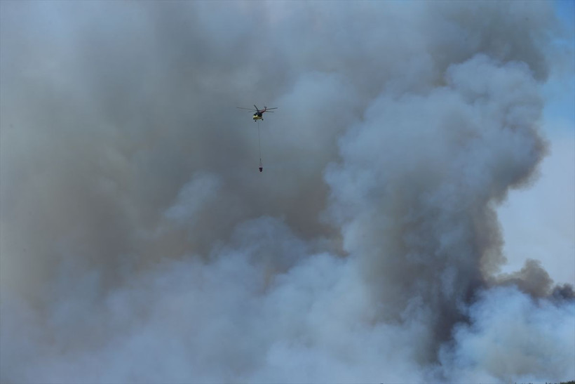 Alevler hızla ilerliyor 26 saattir yanıyor! Sakarya'daki yangın Bilecik'e sıçradı - Resim: 3