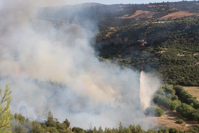 Orman yangınlarında son durum! 4 gündür alev alev yanıyor, köy ve mahalleler tahliye edildi, durum kötü... - Resim: 1
