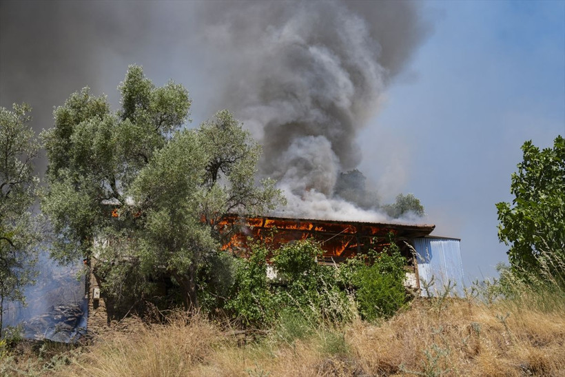 İzmir'de durum çok fena acı haber geldi! Çeşme ve Ödemiş'te alevler evlere sıçradı, yollar kapatıldı - Resim: 2