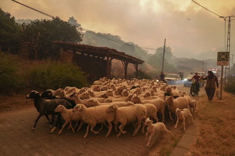 İzmir Ödemiş'teki orman yangını 3. gününde: Alevlerden kaçış görüntülendi - Resim: 3