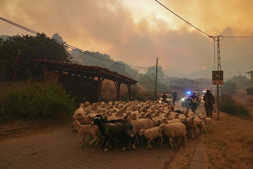 İzmir Ödemiş'teki orman yangını 3. gününde: Alevlerden kaçış görüntülendi - Resim: 4