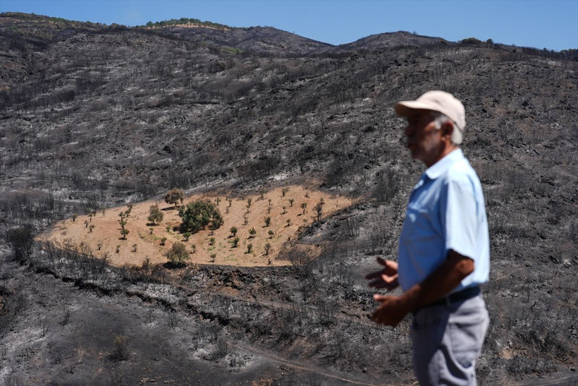 İzmir Ödemiş’te şaşkına çeviren görüntü! Sadece orası yanmadı! - Resim: 1